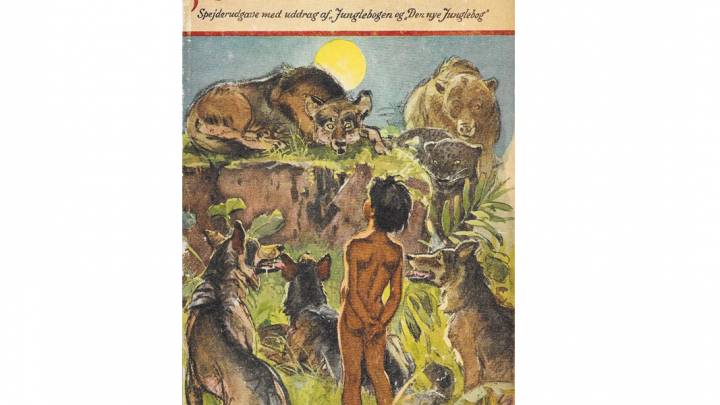 Junglebogen (bog)
